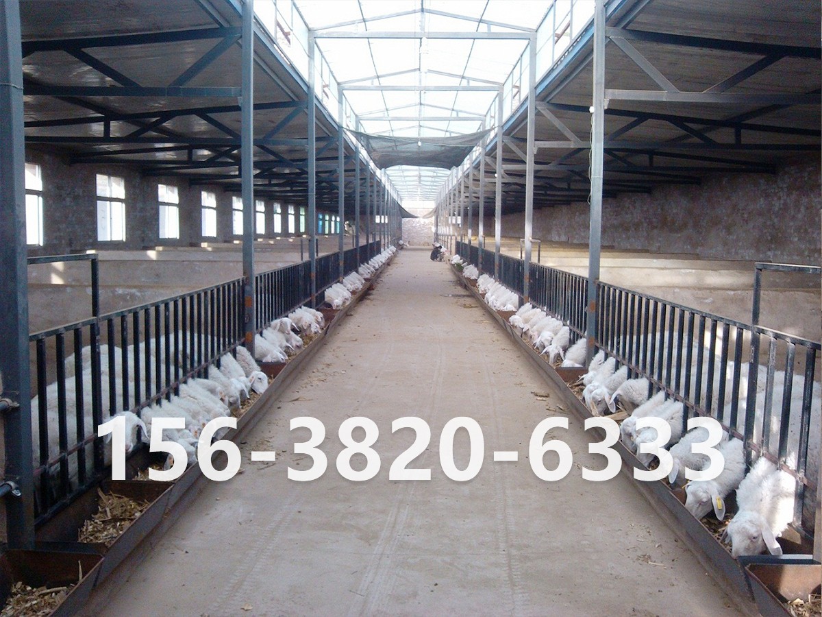 年產(chǎn)2萬(wàn)噸有機(jī)肥設(shè)備配置